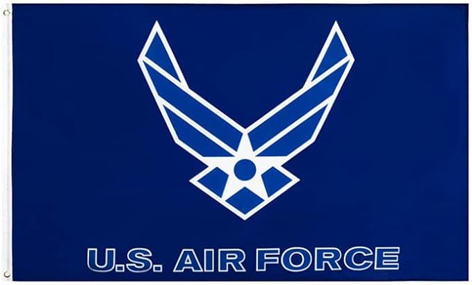 AIR FORCE WINGS LOGO