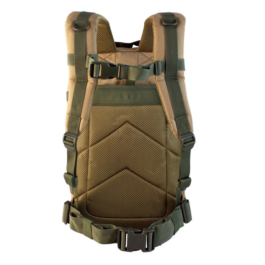 LARGE REBEL ASSUALT PACK