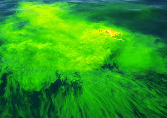 FLYERS EMERGENCY SEA DYE MARKER