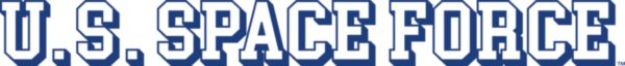 Mylar Decal - Space Force Window Strip