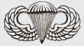 Mylar Decal - Basic Parachutist Badge