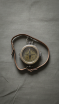 Vintage Military Compass Brass Case