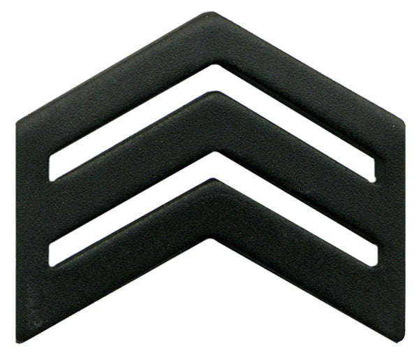 ARMY ROTC SUBDUE CHEVORN PINS