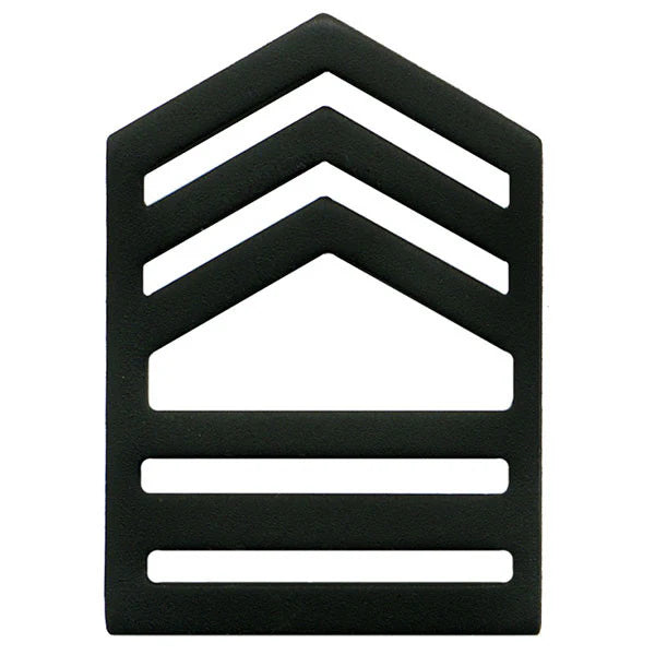 ARMY ROTC SUBDUE CHEVORN PINS