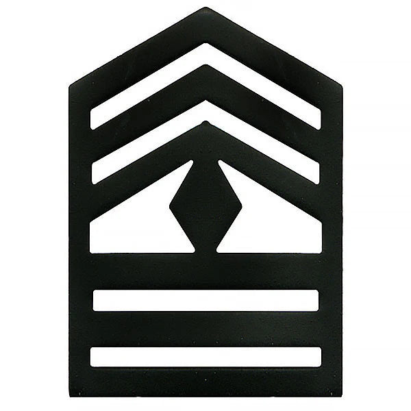 ARMY ROTC SUBDUE CHEVORN PINS