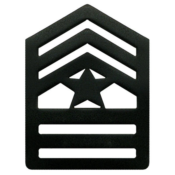 ARMY ROTC SUBDUE CHEVORN PINS