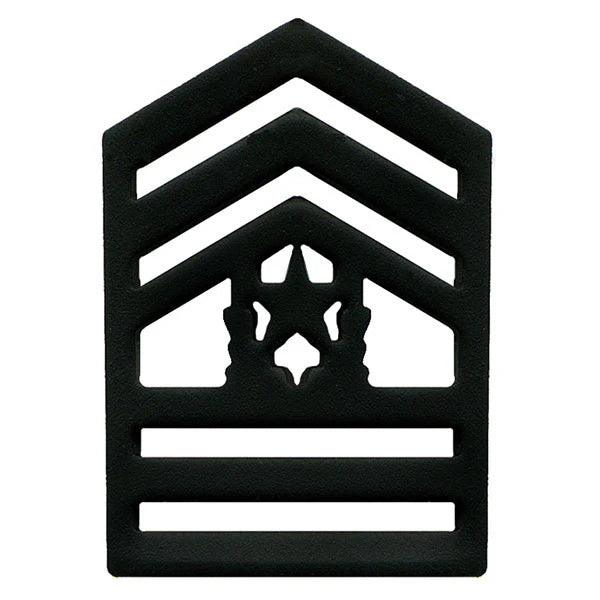 ARMY ROTC SUBDUE CHEVORN PINS