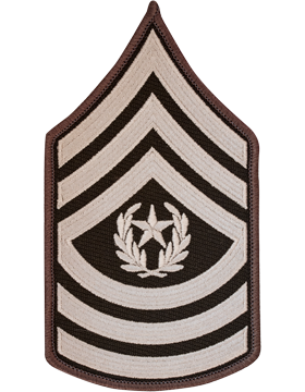 ARMY AGSU DRESS UNIFORM RANK CHEVERONS