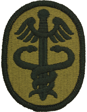 Health Service Command Scorpion Patch with Fastener