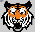 TIGER HEAR MORALE PATCH