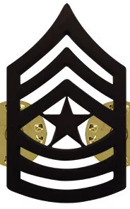 Army Subdue (Black Metal) Chevron Rank Pin
