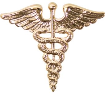 Army Officer Dress Collar Device.