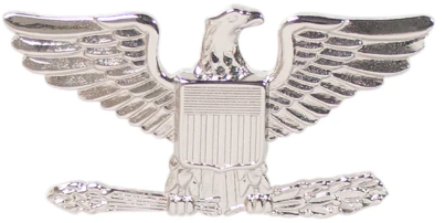 OFFICER RANK PINS