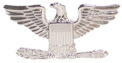 OFFICER RANK PINS