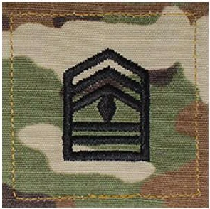 ARMY ROTC OCP RANK W/HOOK