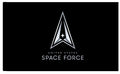 SPACE FORCE FLAG