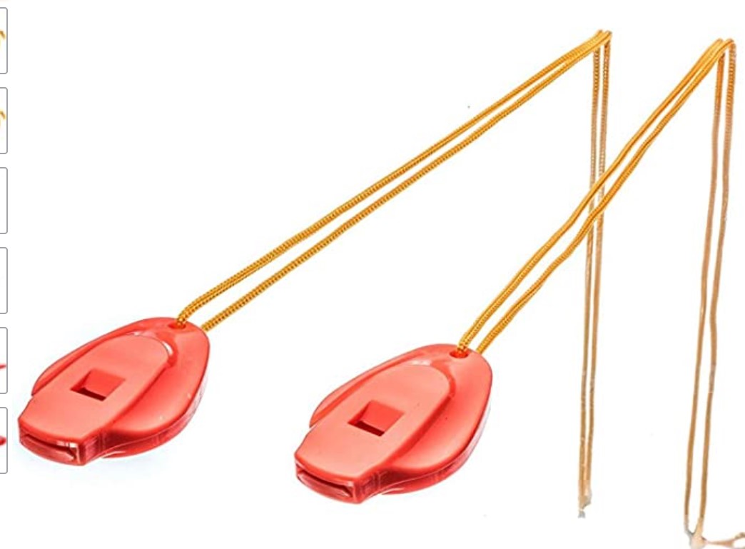COMPANION WHISTLE